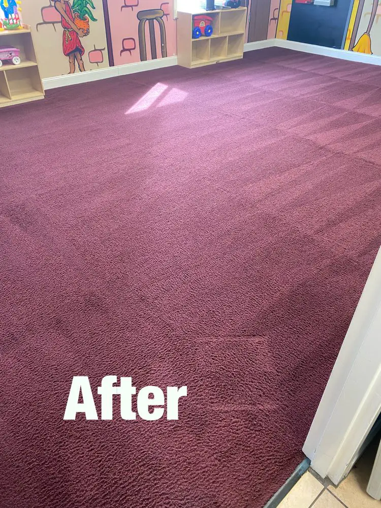 Carpet Cleaning After