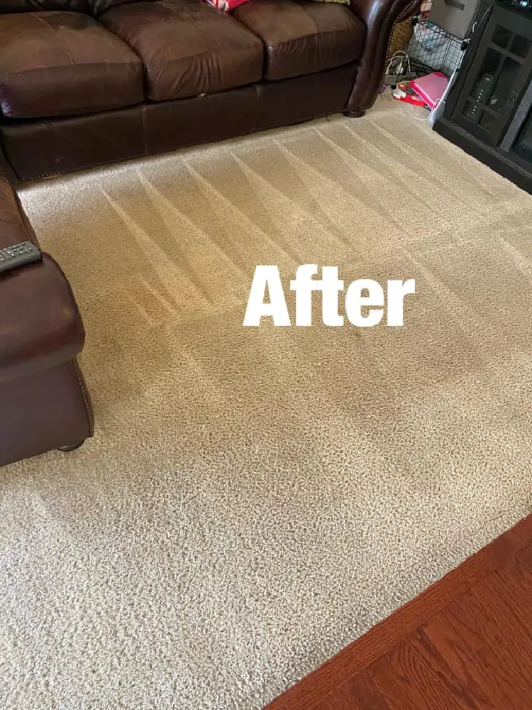 Carpet Cleaning After