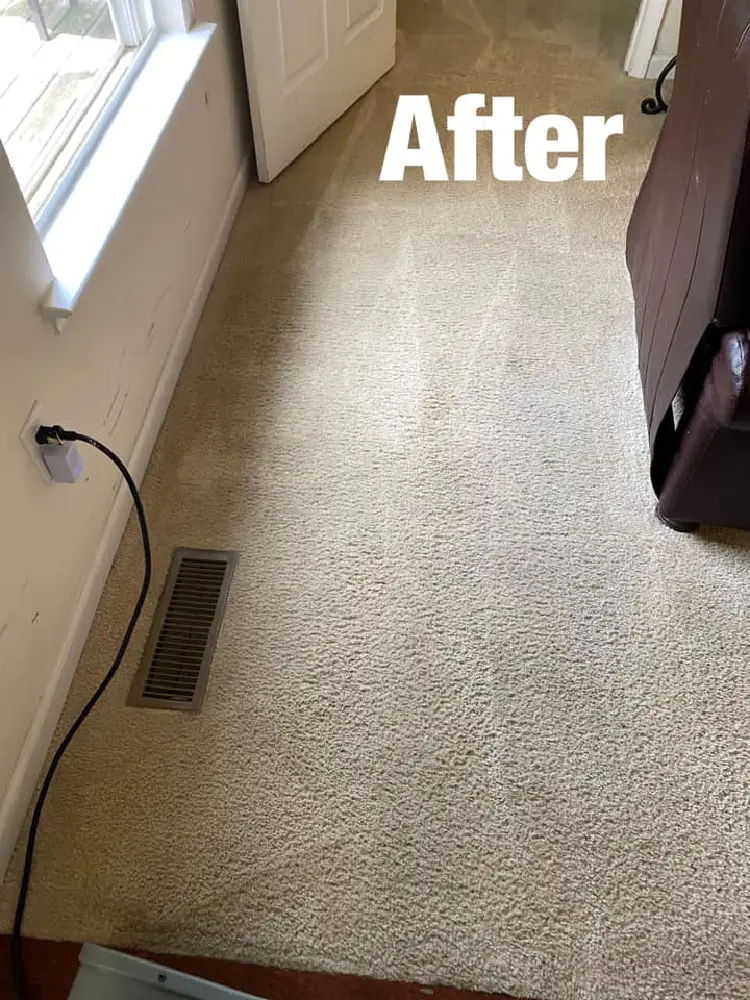 Carpet Cleaning After