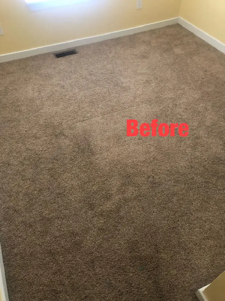 Carpet Cleaning After