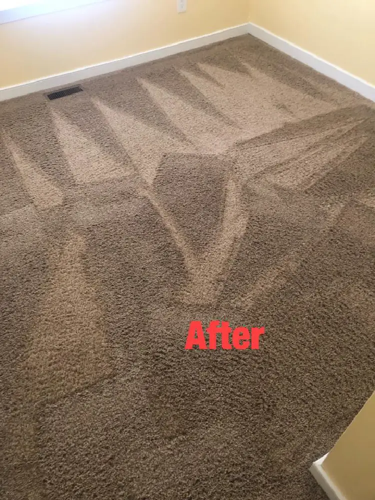 Carpet Cleaning After
