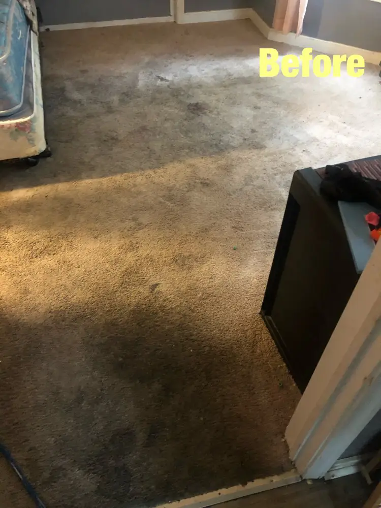 Carpet Cleaning Before