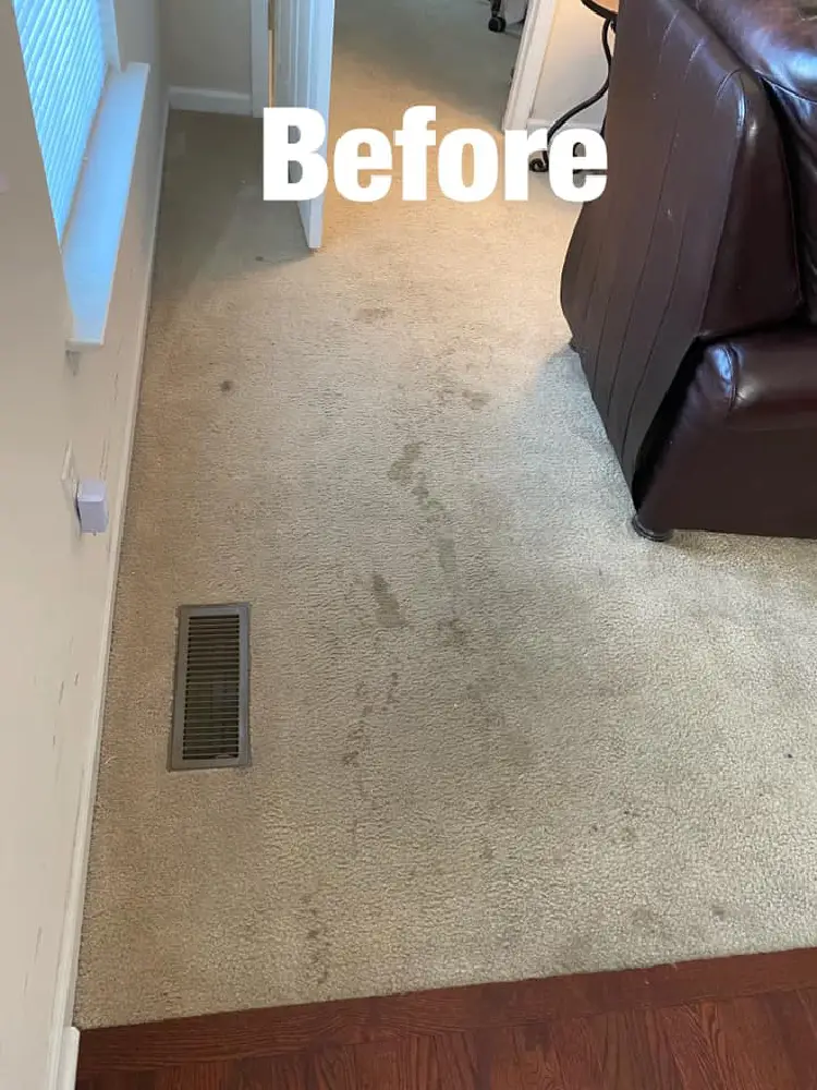Carpet Cleaning Before