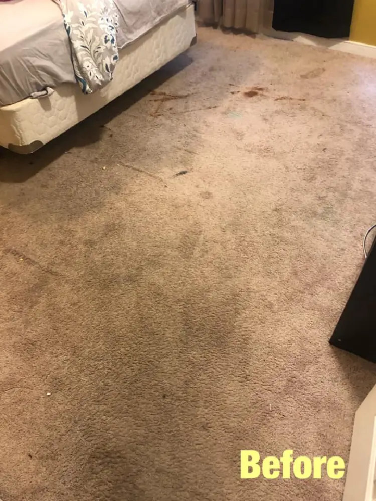 Carpet Cleaning Before