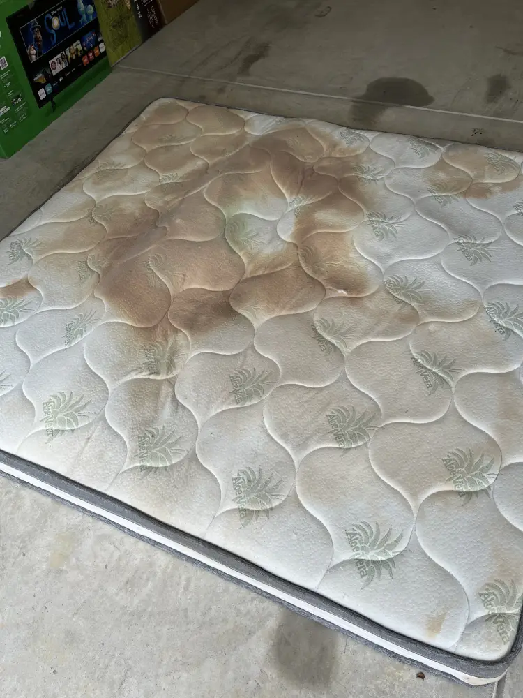 Mattress Cleaning Before