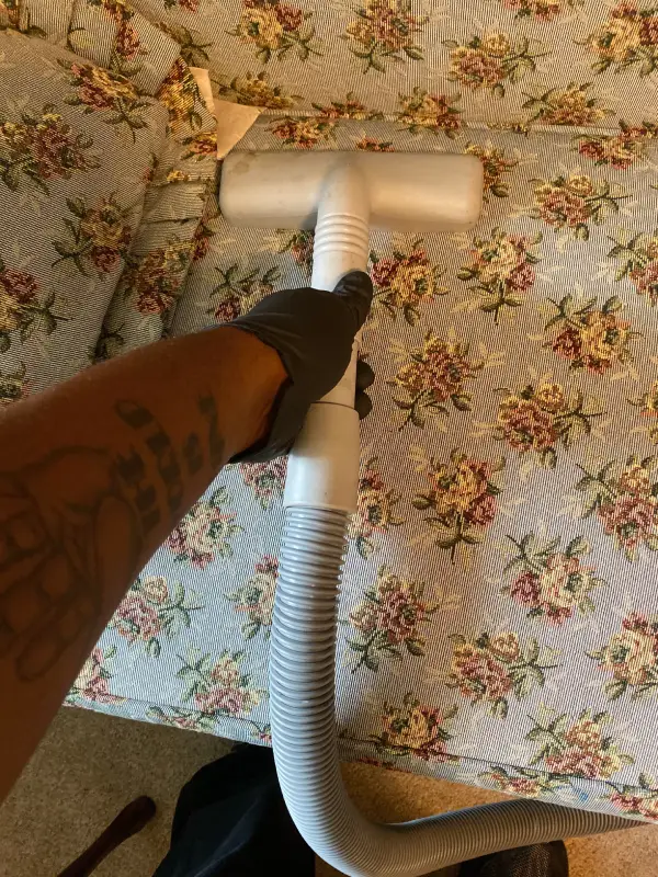 Sofa Cleaning After