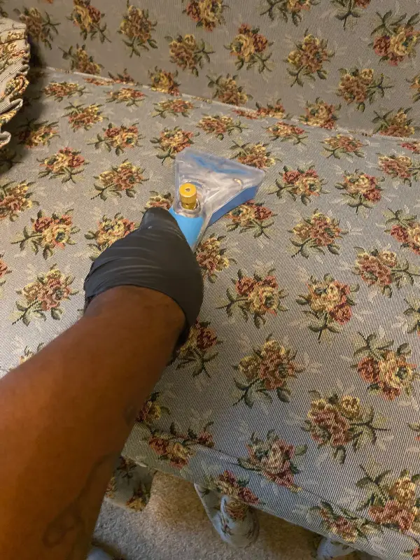 Sofa Cleaning Before