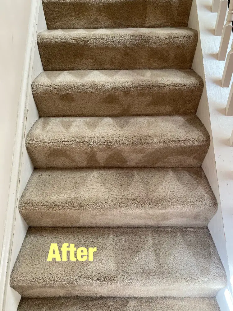Stair Case Carpet Cleaning After
