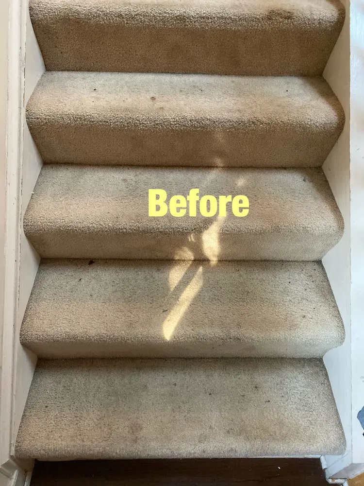 Stair Case Carpet Cleaning Before