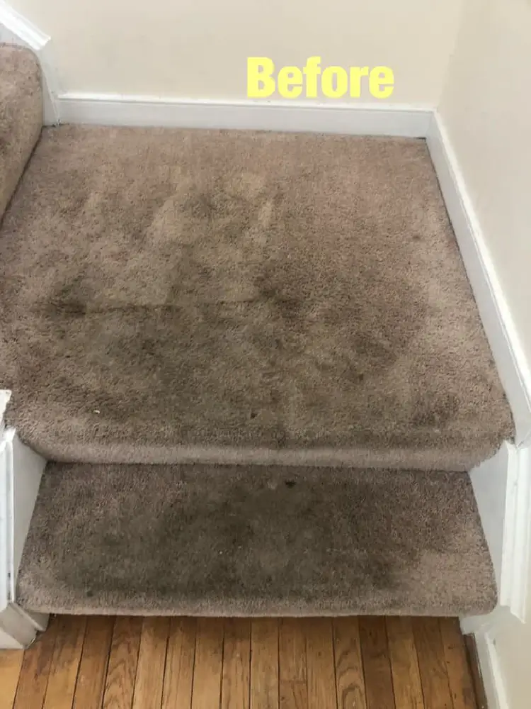 Staircase Carpet Cleaning Before
